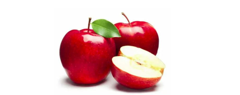Load an Image from the Web: Understanding Diffusion Models